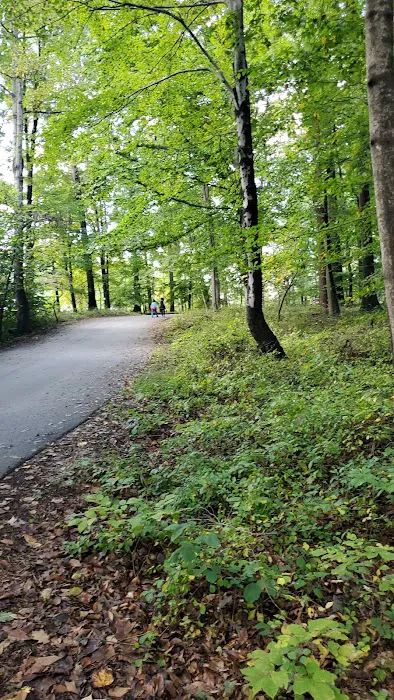 Hollofield Campground 5