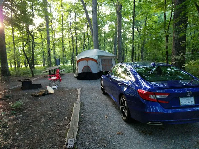 Hollofield Campground 6