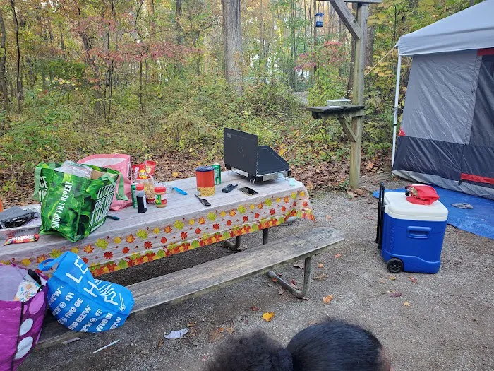 Hollofield Campground 10