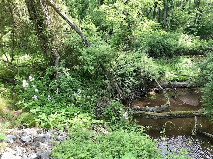 Woy Bridge Campground 4
