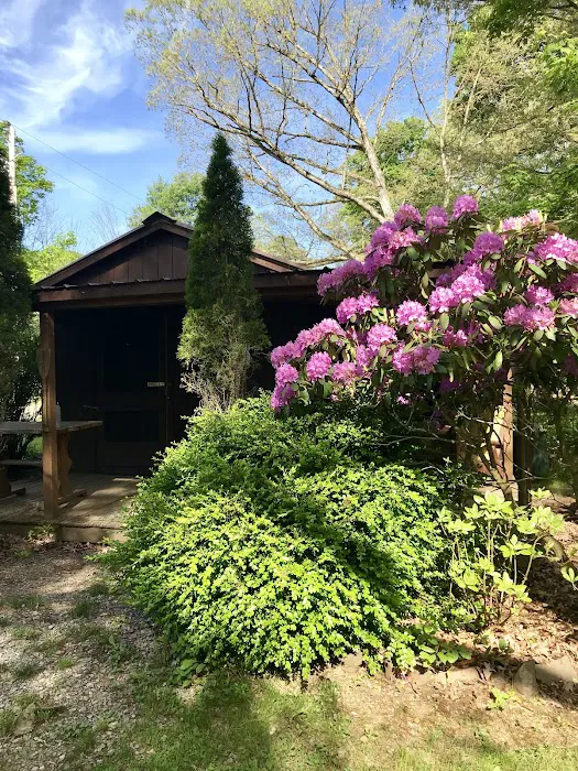 Woy Bridge Campground 6