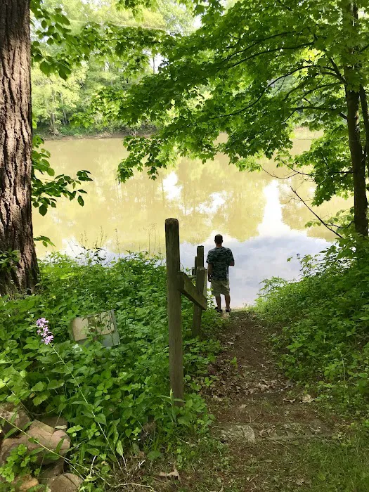 Woy Bridge Campground 5