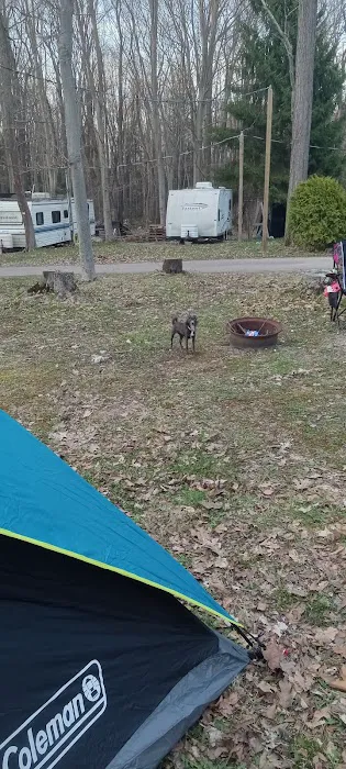 Woodland Park Campground 2