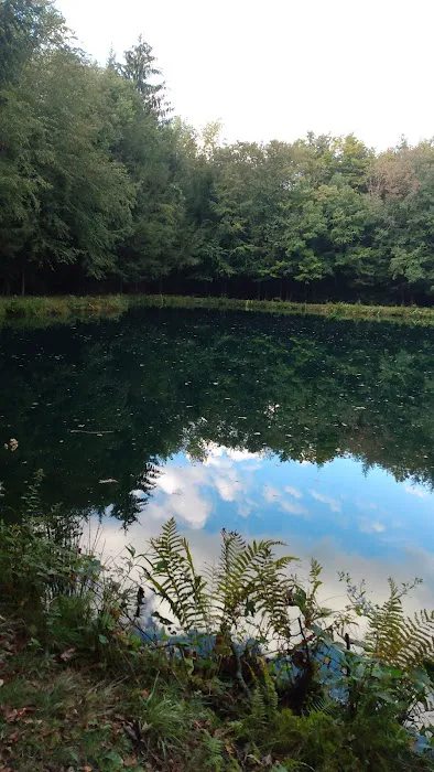 Woodland Park Campground 4
