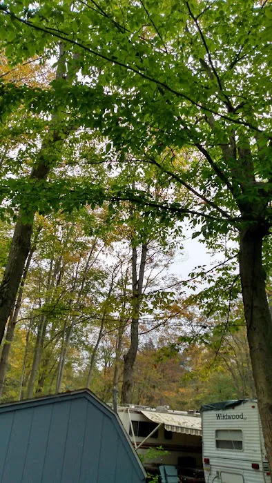 Woodland Park Campground 8