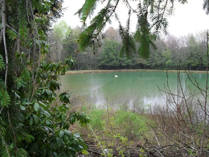 Woodland Park Campground 9