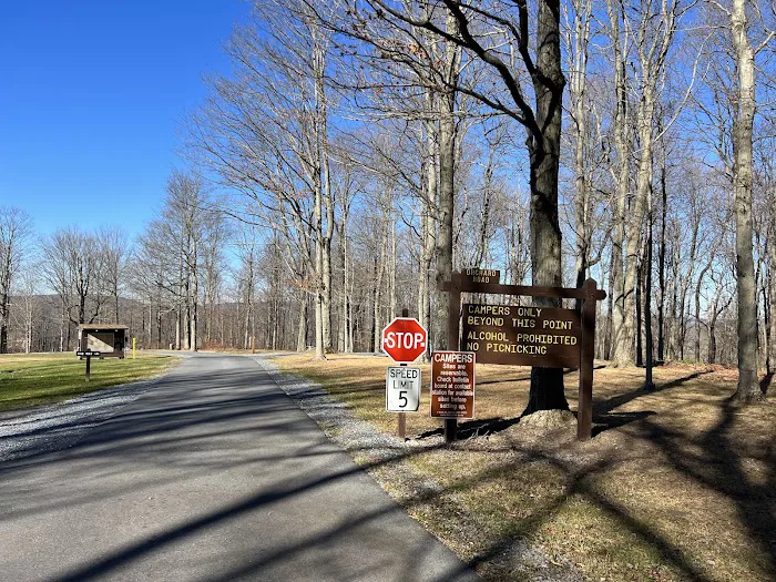 Blue Knob State Park Campground 3