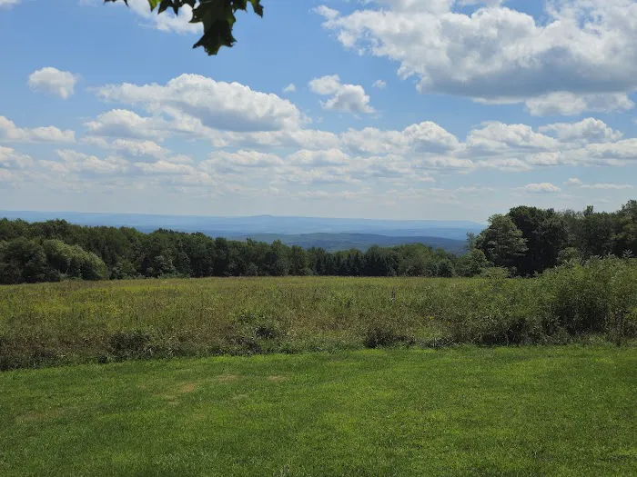 Blue Knob State Park Campground 4