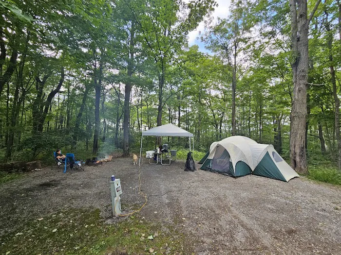 Blue Knob State Park Campground 6