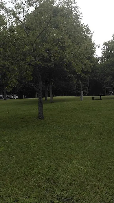Blue Knob State Park Campground 8