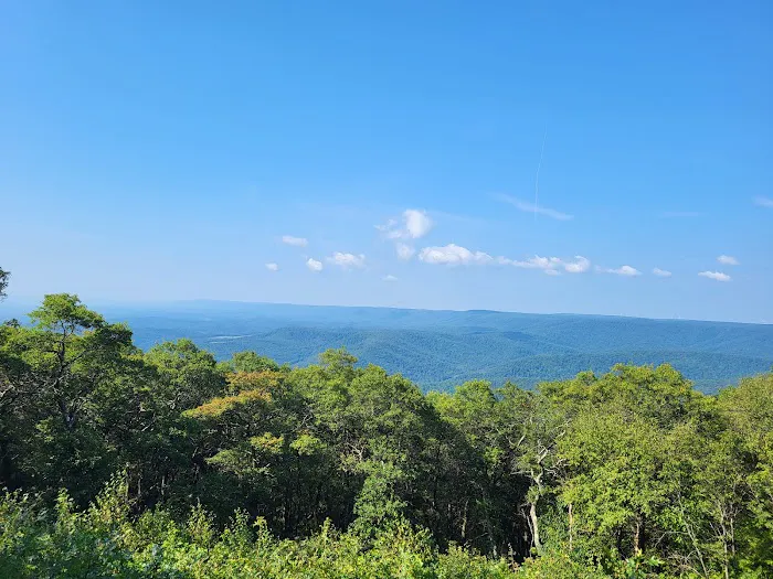 Blue Knob State Park Campground 7