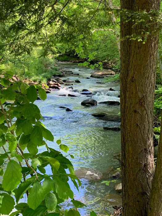 Yellow Creek Campground 2