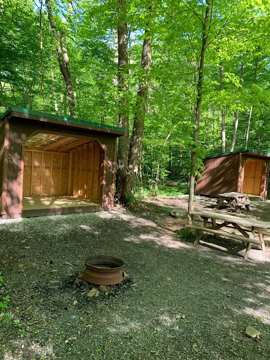 Yellow Creek Campground 5