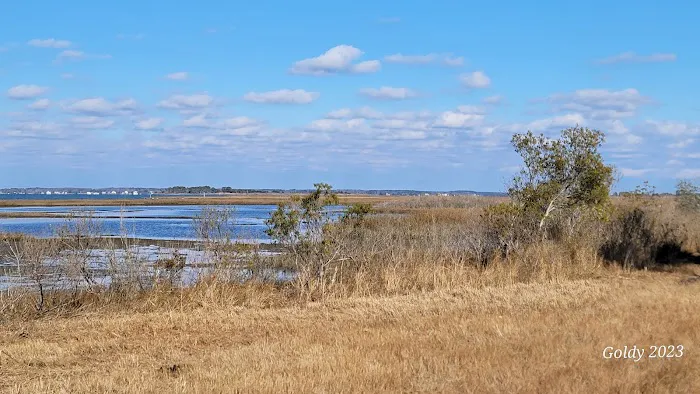 TIngles Island Camp, Assateague National Park 1