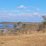 TIngles Island Camp, Assateague National Park
