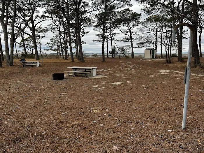 TIngles Island Camp, Assateague National Park 6