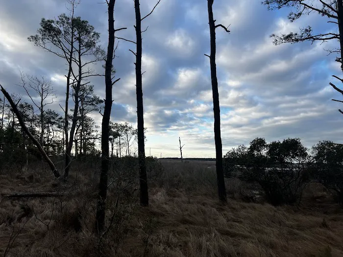 TIngles Island Camp, Assateague National Park 5