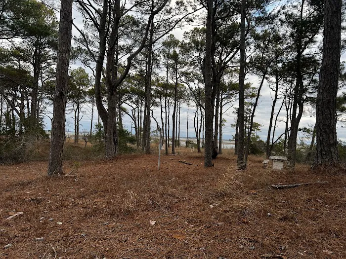 TIngles Island Camp, Assateague National Park 3