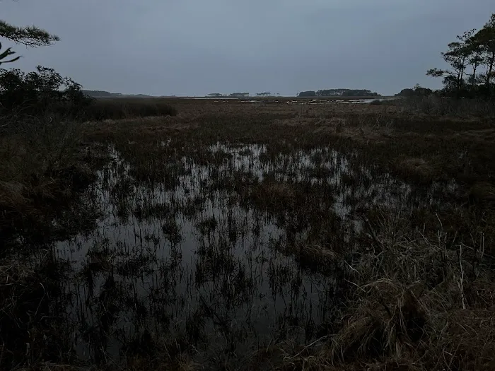 TIngles Island Camp, Assateague National Park 2