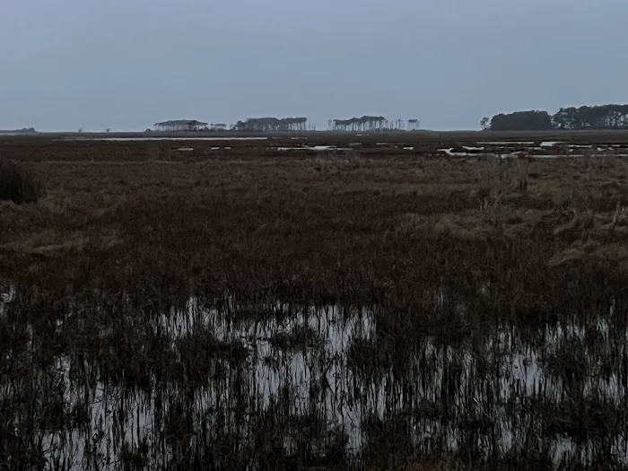 TIngles Island Camp, Assateague National Park 8
