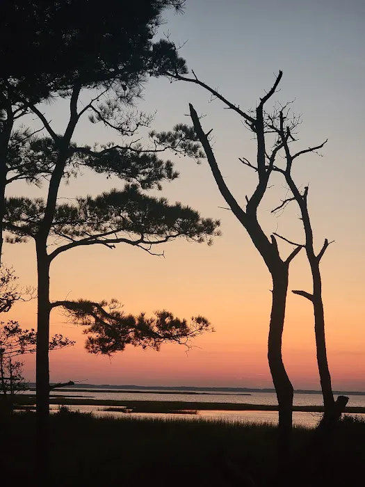 Back Country Camping-Tingles Island Campground 1