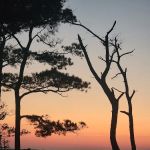 Back Country Camping-Tingles Island Campground