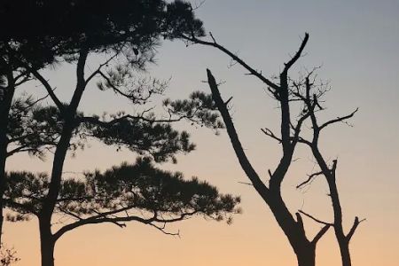 Back Country Camping-Tingles Island Campground
