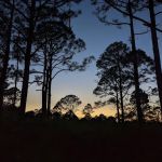 FLYING A CAMPGROUND, SITE 1