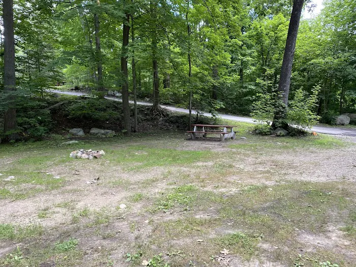 Glampers Camp 9