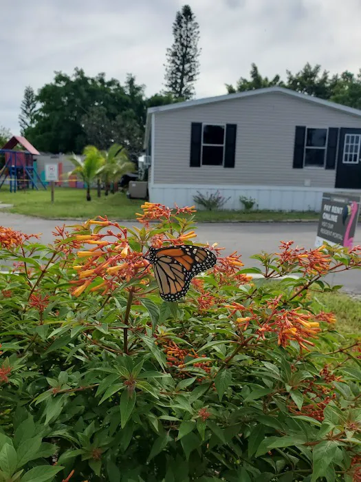 Hobe Village Mobile Home Park 9