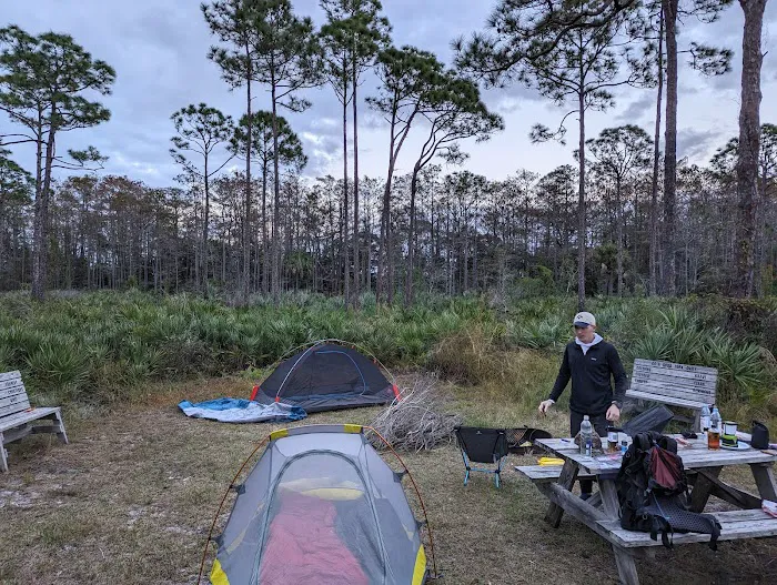 Scrub Jay Campsite 2