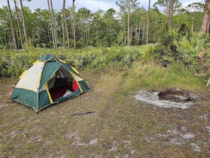 Scrub Jay Campsite 7