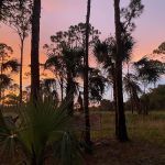 Kitching Creek Campground