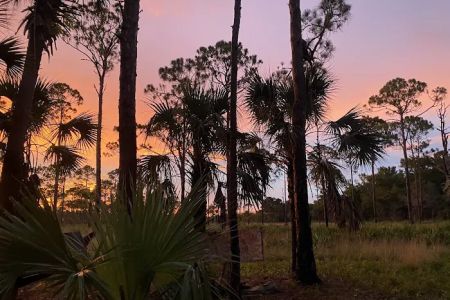 Kitching Creek Campground