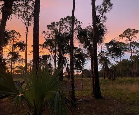 Kitching Creek Campground