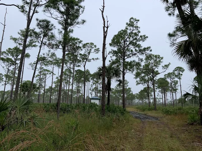 Kitching Creek Campground 3