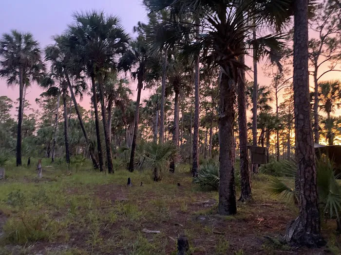 Kitching Creek Campground 8