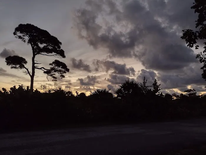 Pine Grove Campground 8
