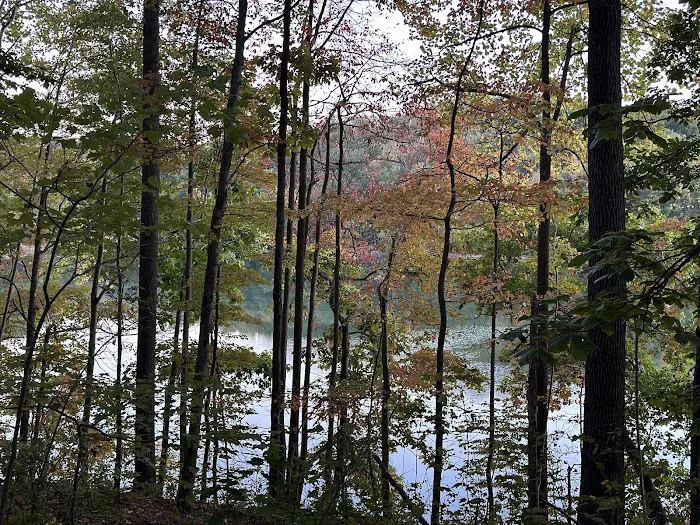 Lakeview Village 2