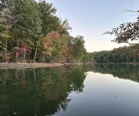 Lakeview Village