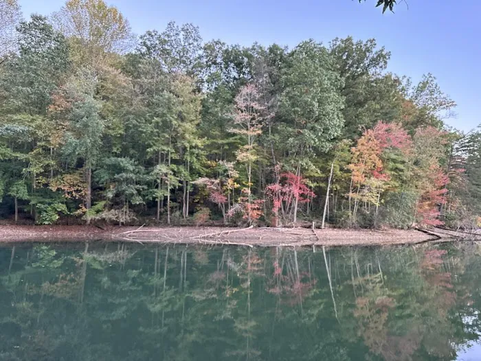 Lakeview Village 9