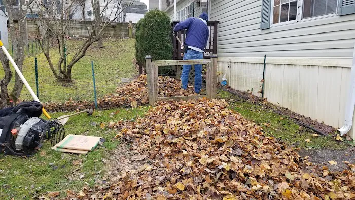 Todd Village LLC. Park 9