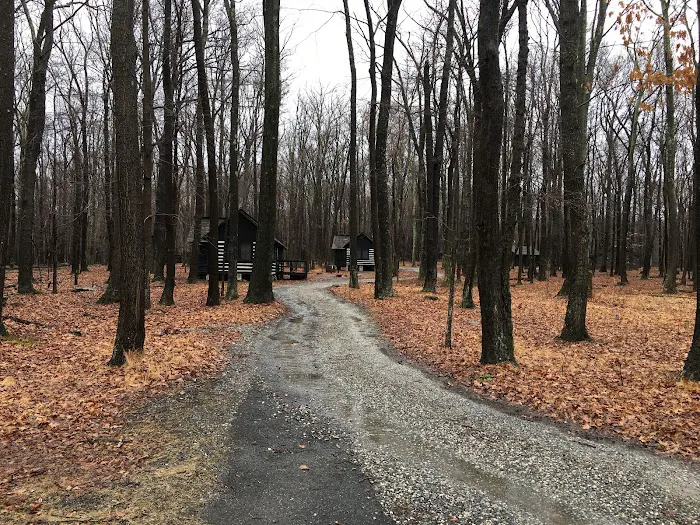 Camp Greentop 3