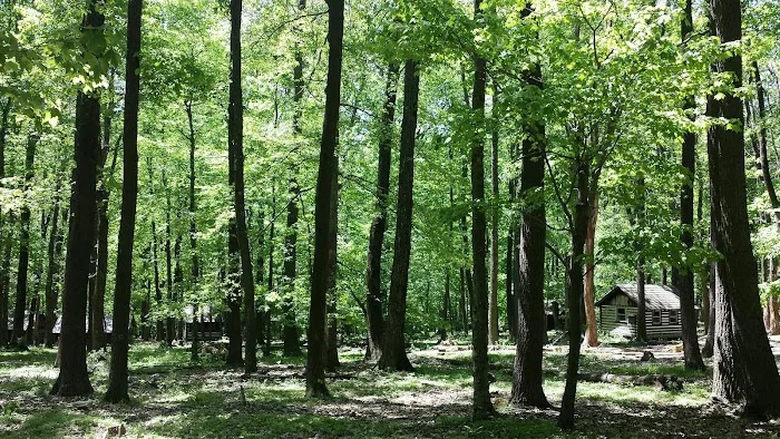 Camp Greentop 7