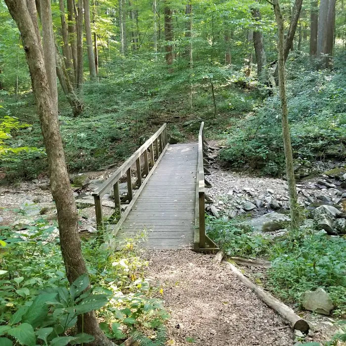 Owens Creek Campground 3