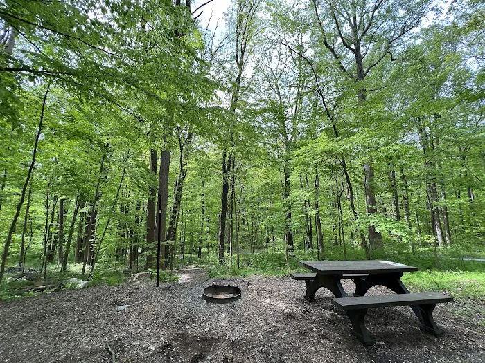 Owens Creek Campground 2