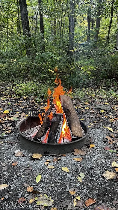 Owens Creek Campground 6
