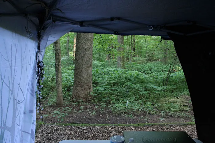 Owens Creek Campground 7