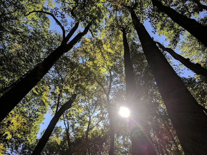 Owens Creek Campground 10