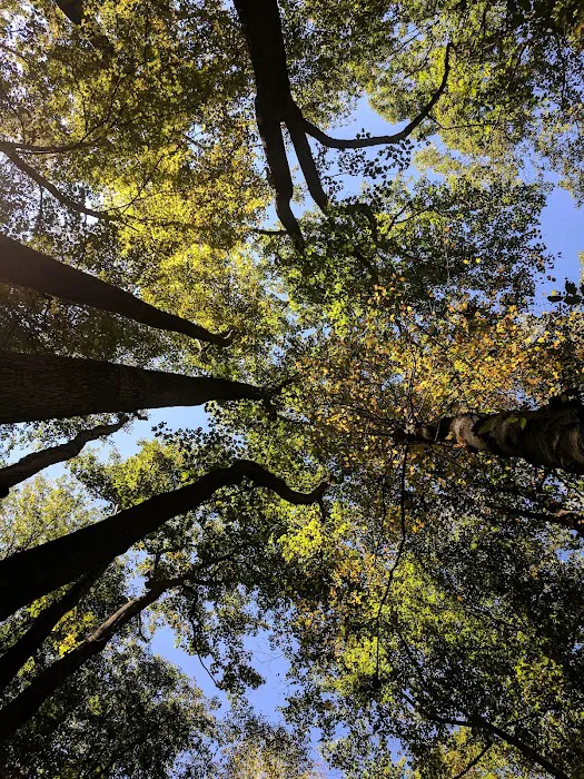 Owens Creek Campground 9
